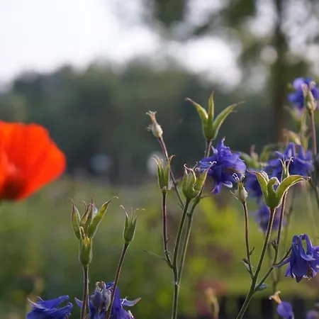 At The Canal Meadows Nyaraló